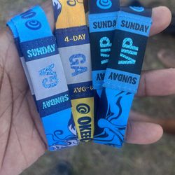 Okeechobee wristband