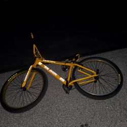 big flyer