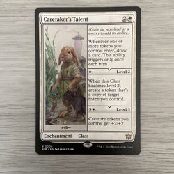Mtg- Caretakers Talent