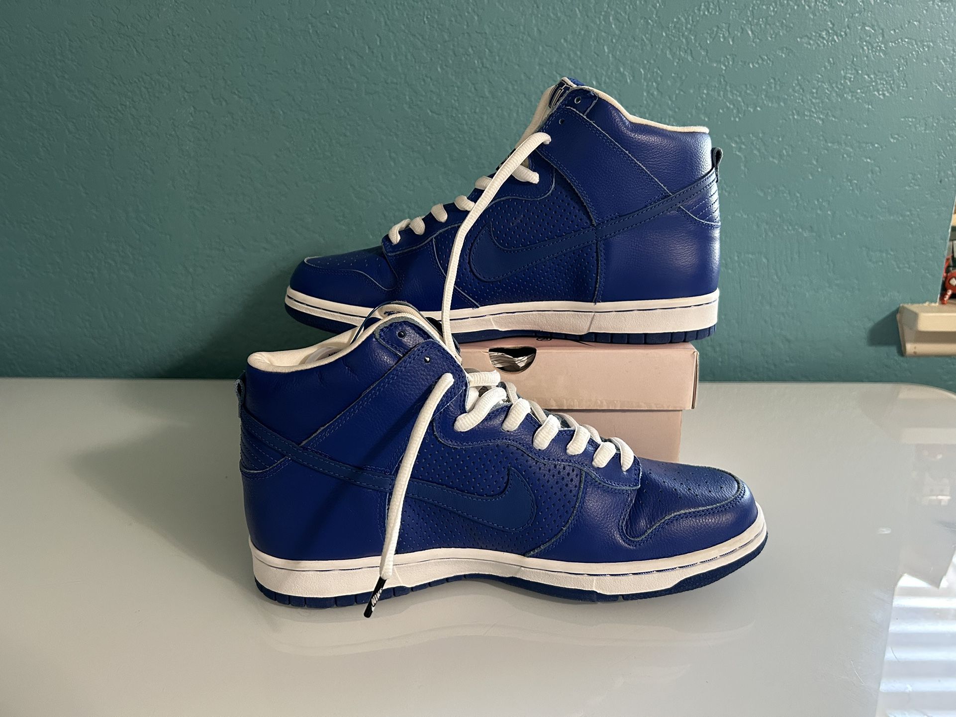 2005 Nike Dunk SB t19 Size 11 Worn Once