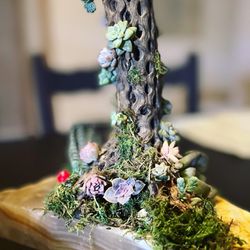 Small fairy statement piece real plants