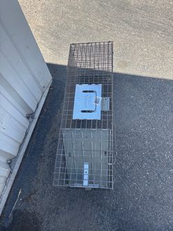 Raccoon trap