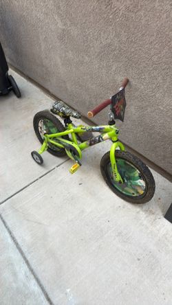 Teenage Mutant Ninja Turtles Kids Bike with Training Wheels