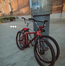 Throne 29er