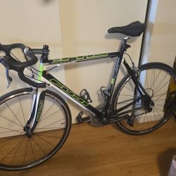 Fuji Team PRO (55cm) 
