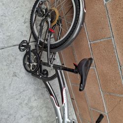 Bicicleta Traila