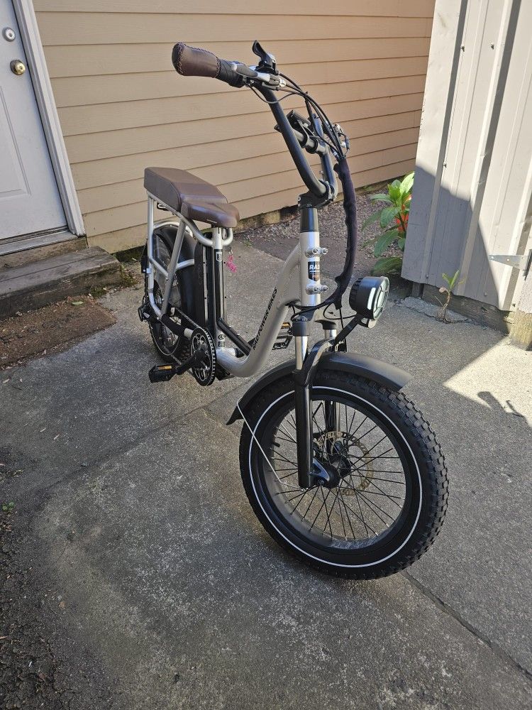RadRunner Plus Electric Cargo Utility Bike