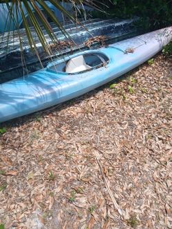 Kayak