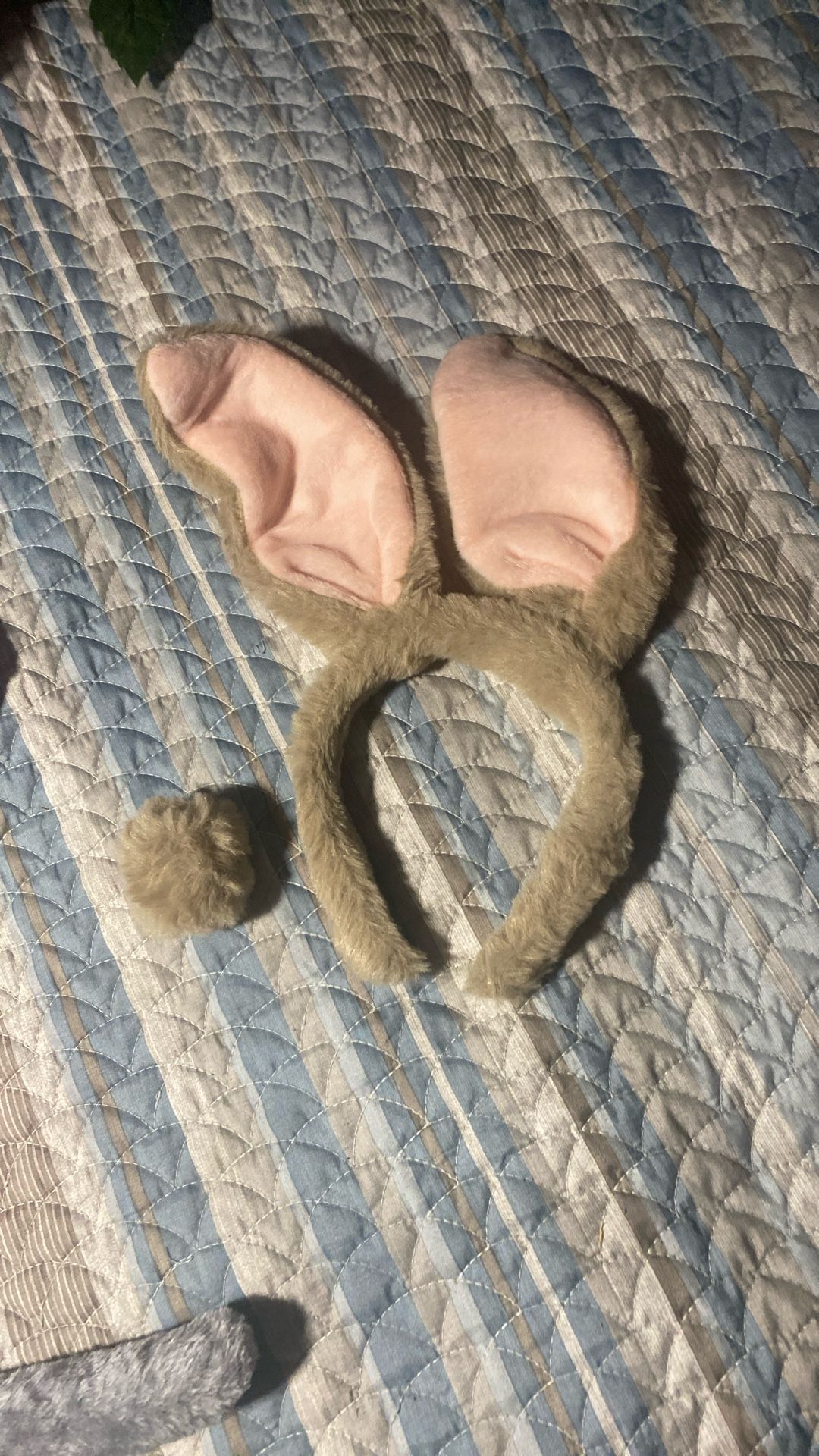 Bunny And Kitty Costume