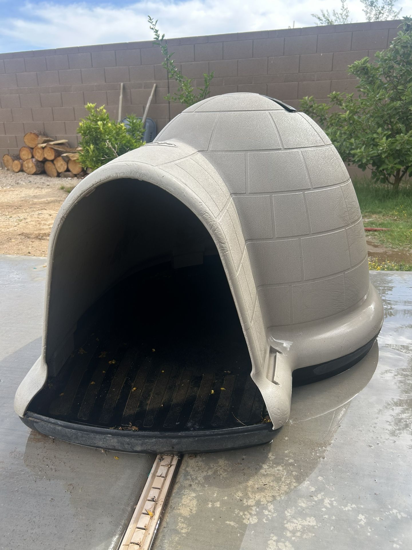 Dog House
