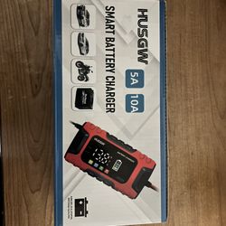 Smart Battery  Charger 