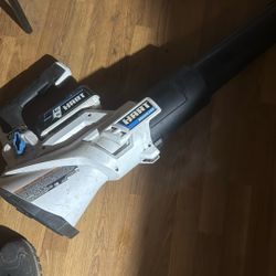 Brushless Heart Leaf Blower With 40 V Battery And Charger