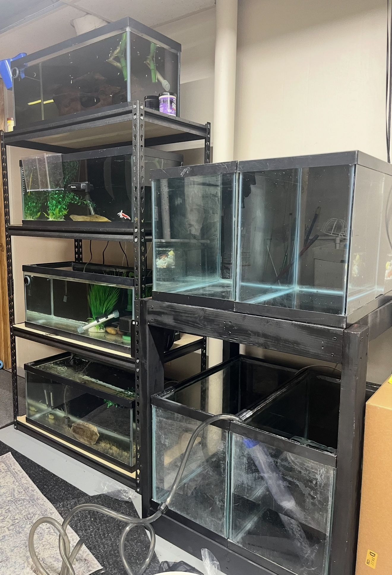 Fish Room For Sale 