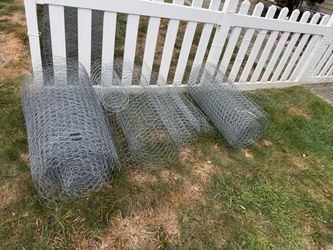 Extra leftover Chicken wire