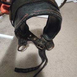 Tree Climbing Belt 