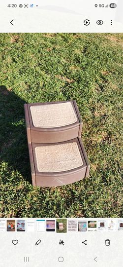 Pet steps