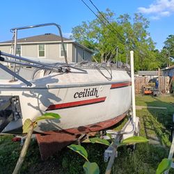Sailboat 