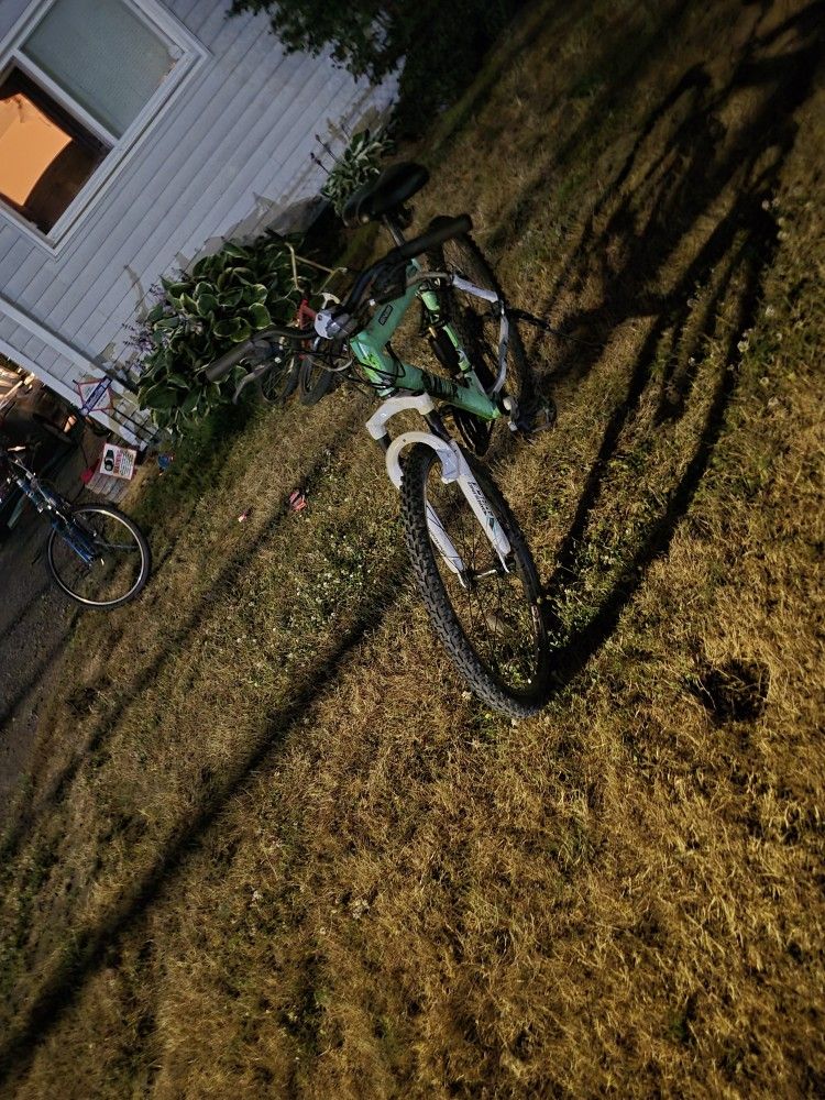 Mountain Bike