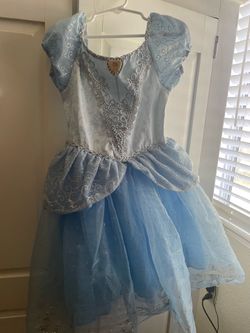 Cinderella Dress