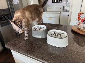 Slow feeder cat bowl