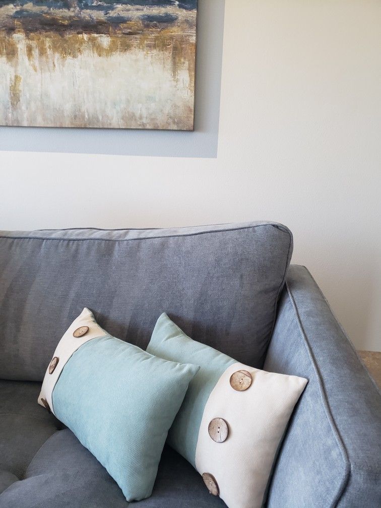 2 BEAUTIFUL INDOOR/OUTDOOR PILLOWS
