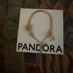 Pandora Bracelet 