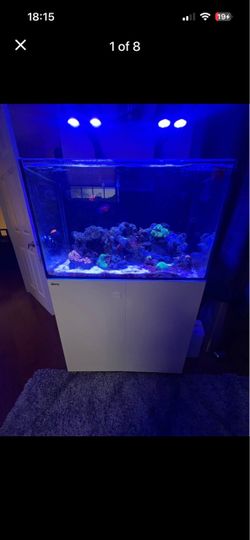 Red Sea Max E 260