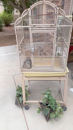 Birdcage