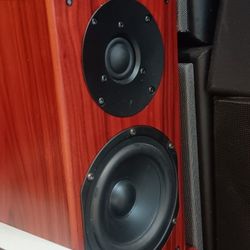 AV123 Bookshelf Speakers  ~ More Audio On My Progile Page