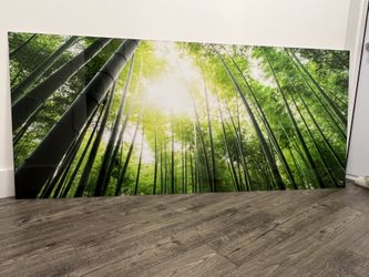 Wall Art - Acrylic artwork no frame W: 60" x H: 48"or W: 72" x H: 32"