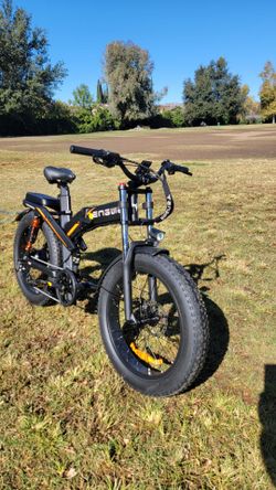 Long Range Electric Bike
dual batteries folding ebike