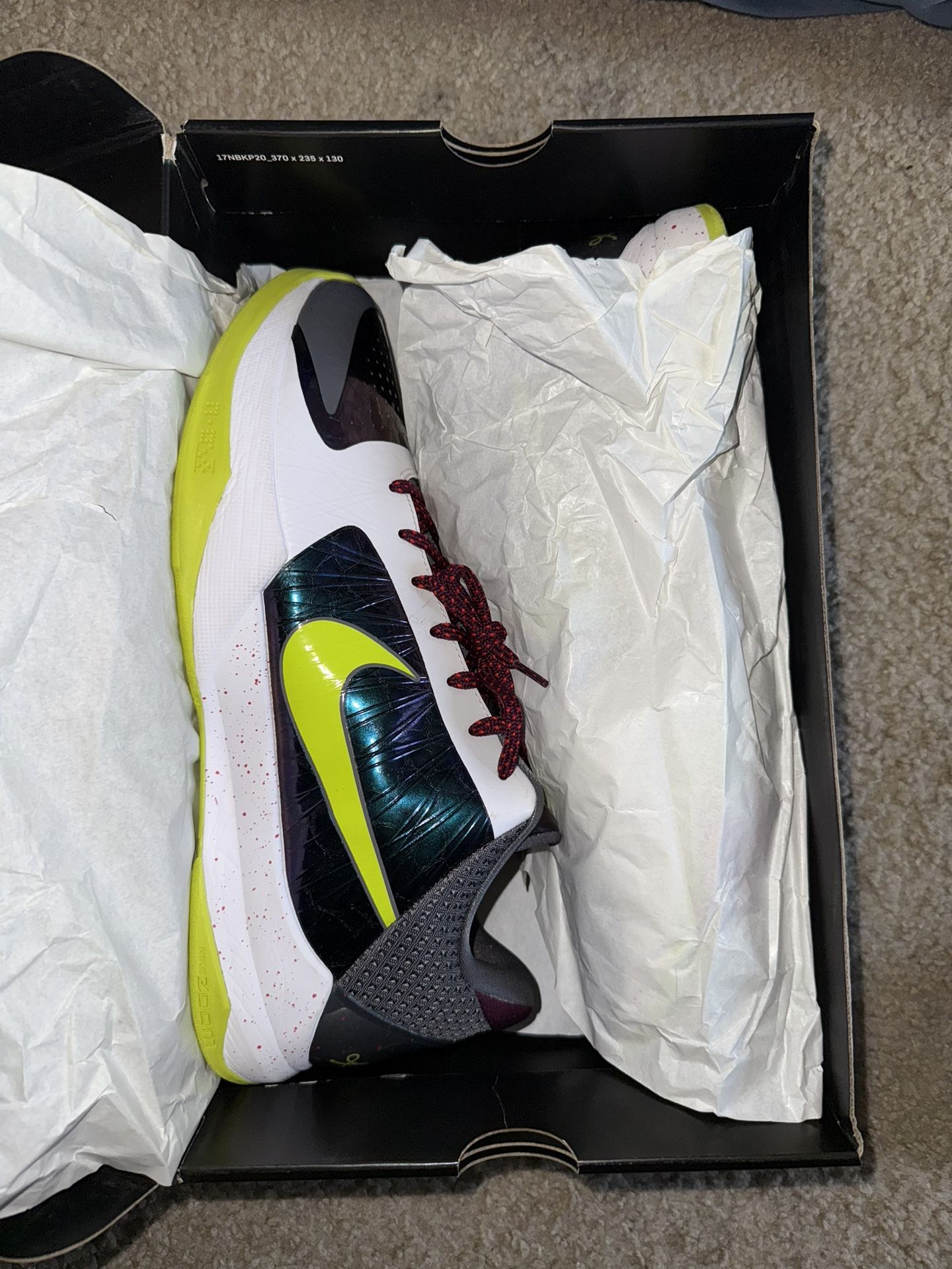 Kobe 5 Chaos Size 15 
