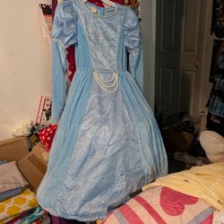 Disney Cinderella Costume 