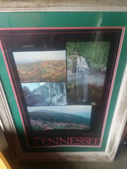 Large framed Tennessee picture