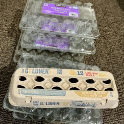 Empty Egg Cartons 
