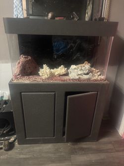 Fish tank