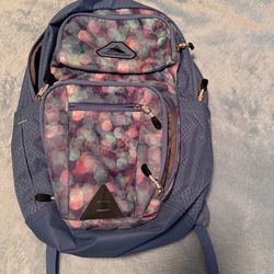High Sierra Backpack