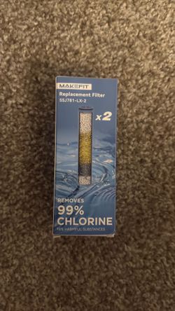 Shower head replacement filter