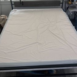 Bob-O-Pedic Queen Size Mattress & Frame