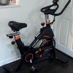 YOSUDA Indoor Stationary Cycling Bike with mat