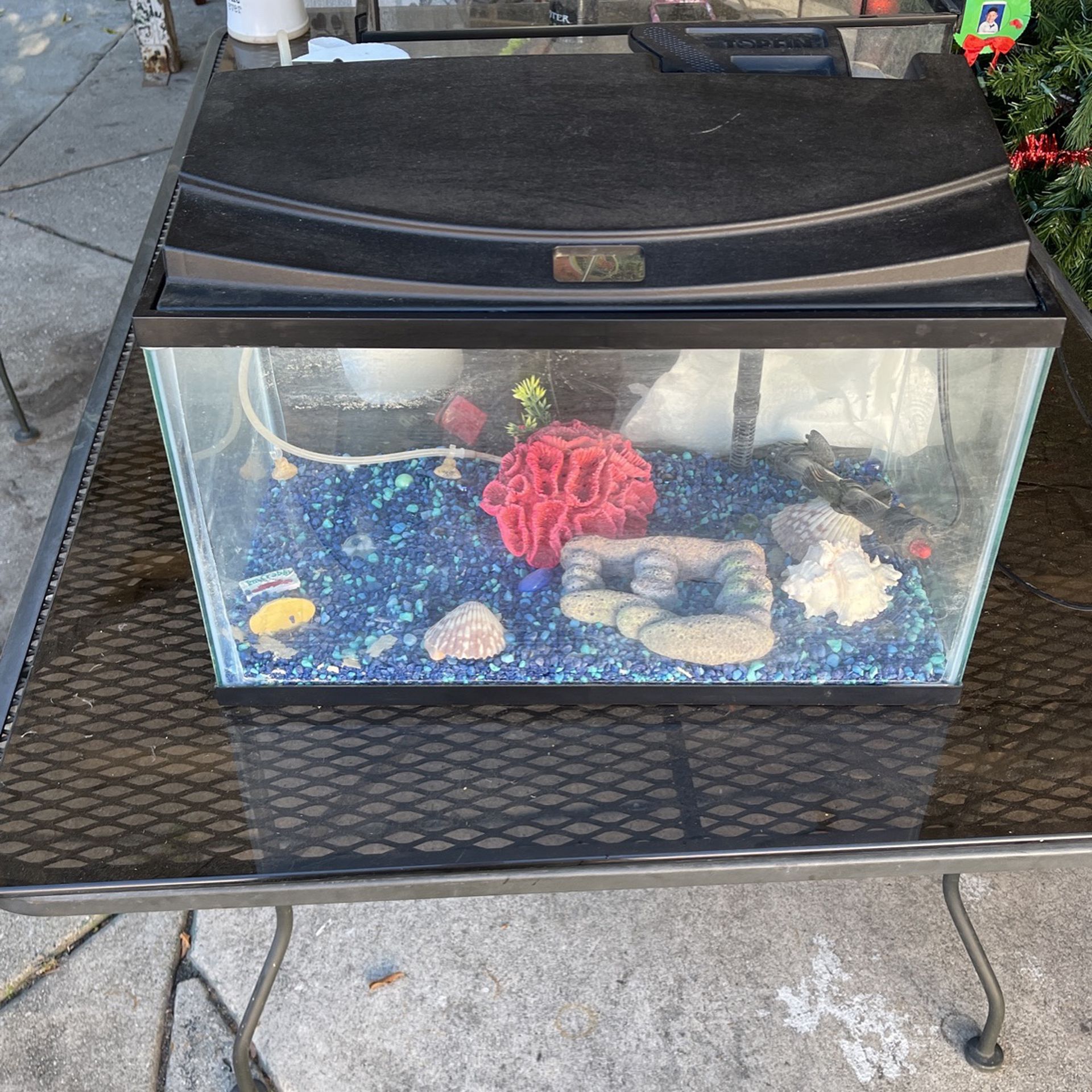 10 Gallon Fish Tank With Heater, Bubbler, Filter And Lights