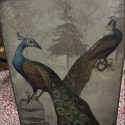 Peacock Wall Art