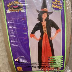 Halloween Witch
