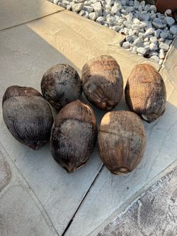 Dried coconut with water