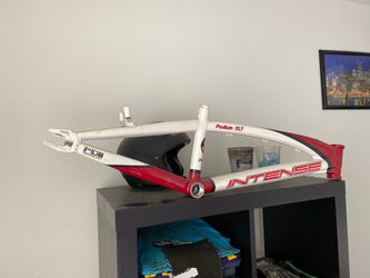 Intense Bicycle World Championship Frame