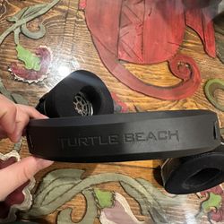 Mic Headset: TURTLE BEACH