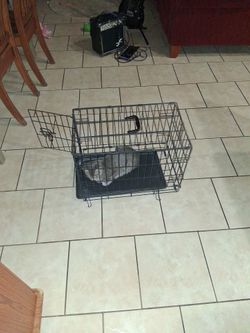 Cage