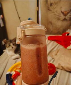 Portable bleander works really good and make amazing smoothies