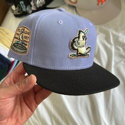Cardinals Fitted