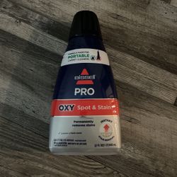 Bissell Pro Spot And Stain Removal 